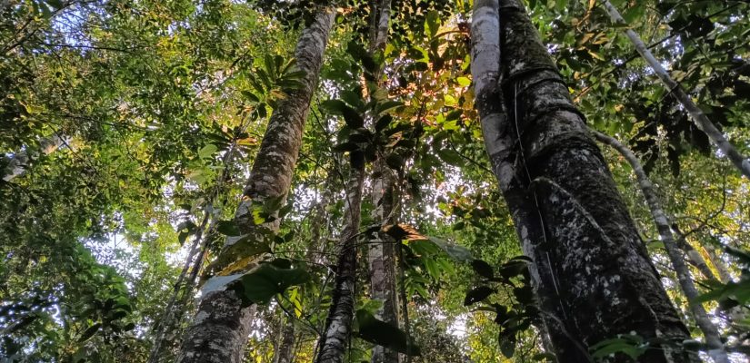 Imagen de WhatsApp 2025-03-26 a las 14.31.41_622e6567