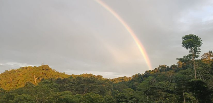 Imagen de WhatsApp 2025-03-26 a las 14.31.41_c1d9dc28